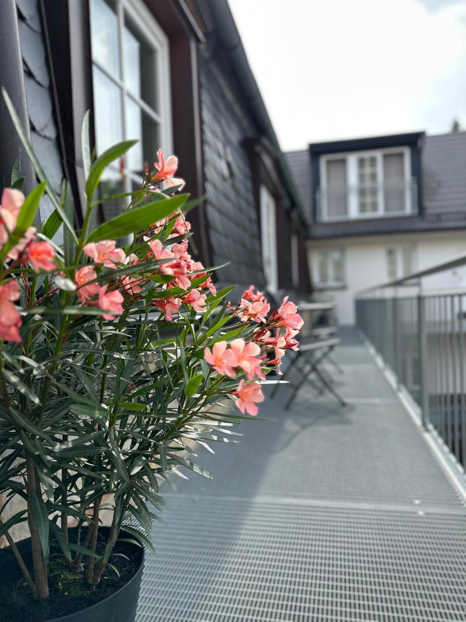 Rotmain Apartments Bayreuth Ngoại thất bức ảnh